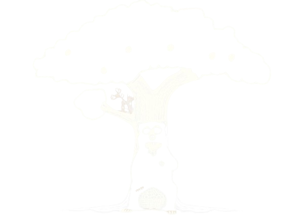 La Orquídea y el Oso